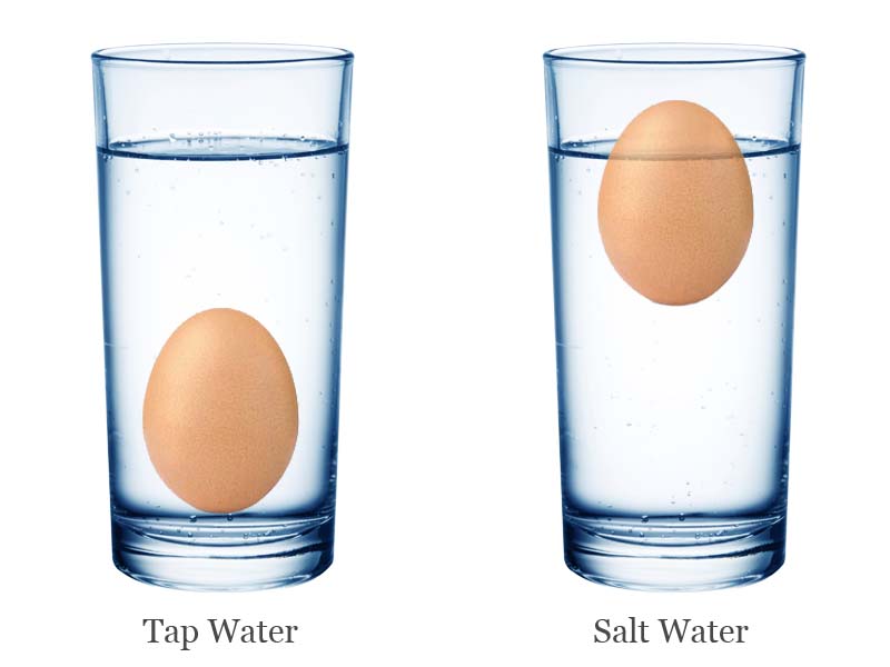 Floating Eggs in Salt Water (Fun Experiment) Science4Fun