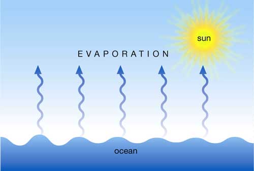 water-cycle-steps-importance-effects-and-facts-science4fun