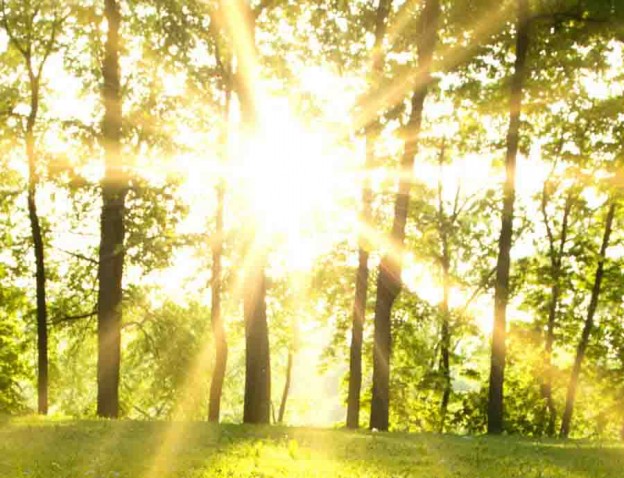 Light