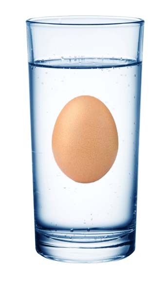 Floating Egg 1