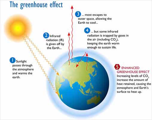 Global Warming Effects Causes Facts Science4fun