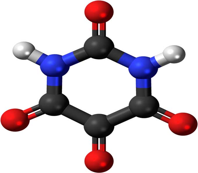 What Kind Of Chemical Bonding Does Water Have