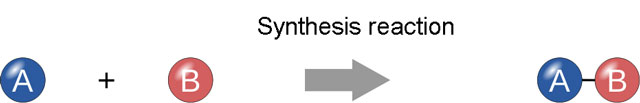 synthesis-reaction