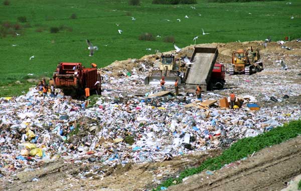 Facts About Landfill & Styrofoam