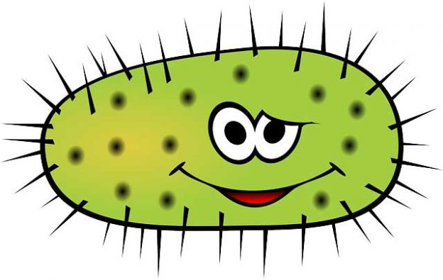 Plant Defenses