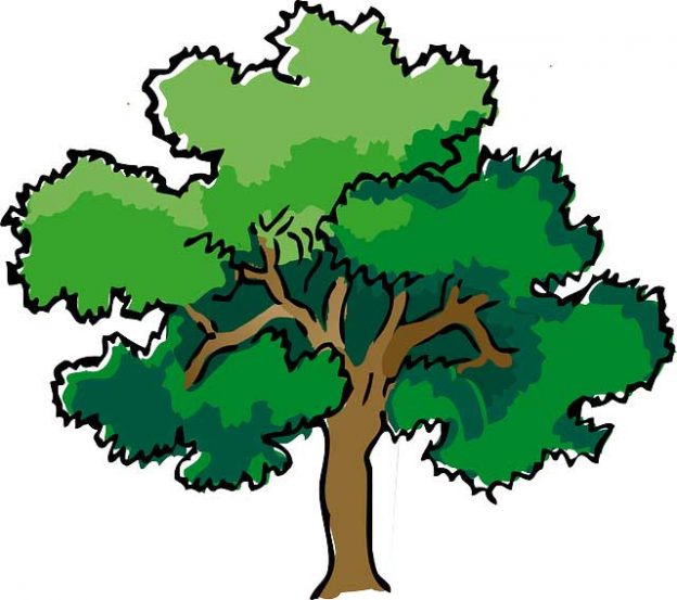 Trees