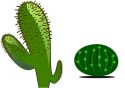 cactus-plant