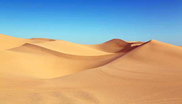 Deserts - (Information + Facts) - Science4Fun