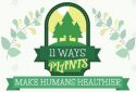 plants-make-human-healthier-image
