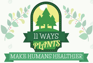 11 Ways Plants Make Human Healthier