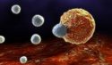 T-cell-attacking-cancerous-cell