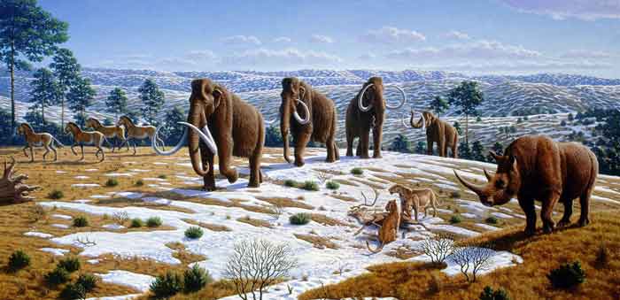 5 Major Ice Ages