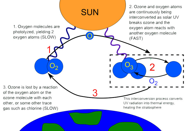 Cycle-of-Ozone