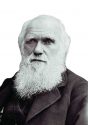 Charles-Darwin
