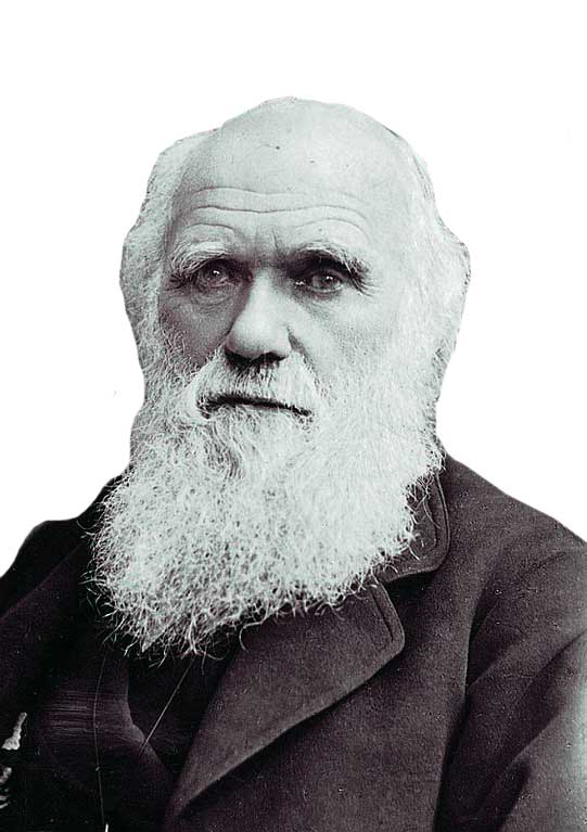 darwin