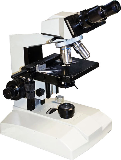 compound-microscope