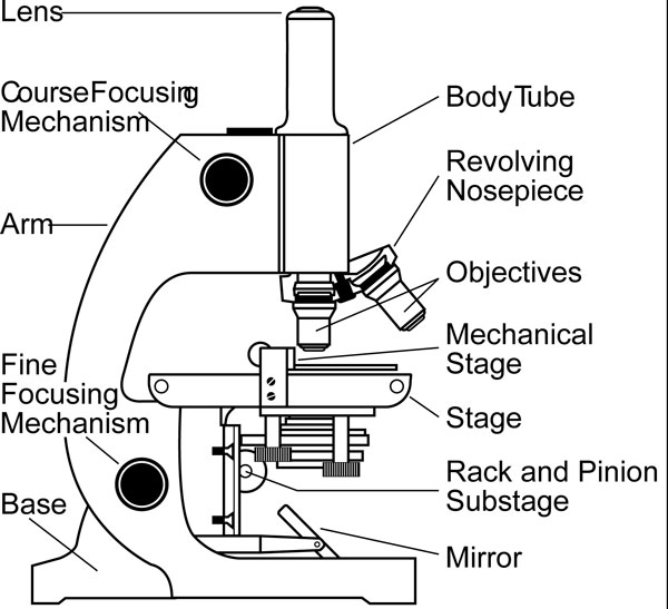 microscope-types-parts-history-facts-science4fun