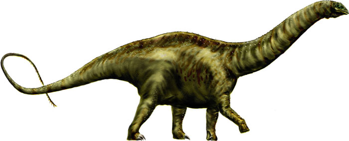 Brontosaurus Dinosaur Diet Cheapest Buy | www.micoope.com.gt