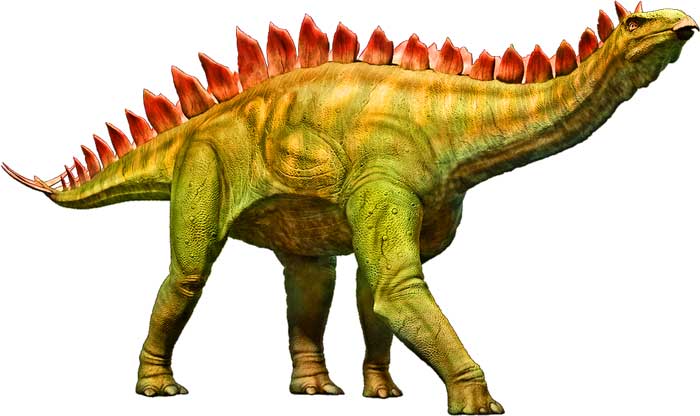 jwe stegosaurus