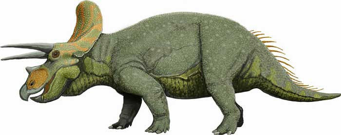 Triceratops | Habitat + Lifestyle + Diet | - Science4Fun