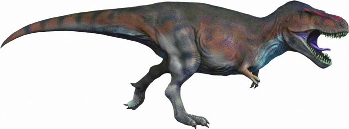 tyrannosaurus-3D-model