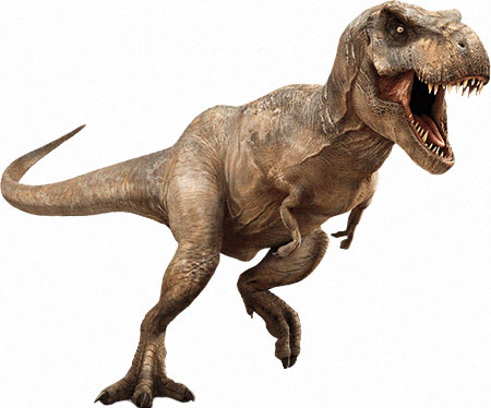 What do you know about T. rex?