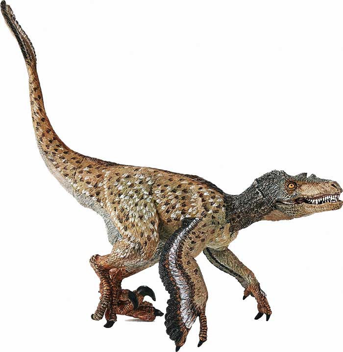 Velociraptor - Description, Habitat, Image, Diet, and Interesting Facts