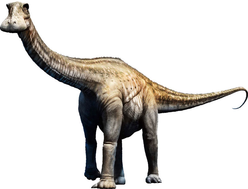 Nigersaurus-alive