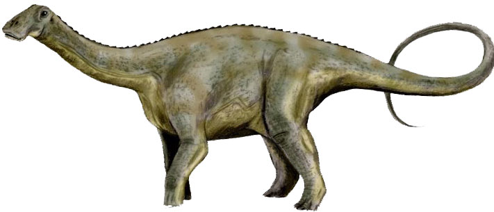 Nigersaurus-real-life-model