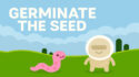 Germinate The Seed